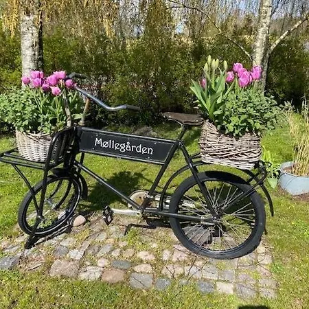 Vakantiehuis Beautiful Vacation In The Town Of *